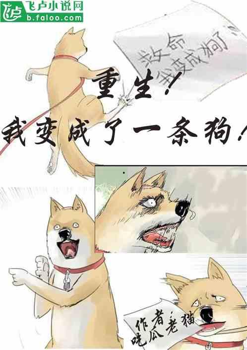 我摆烂吃瓜小说免费阅读,小说世界里的悠闲生活